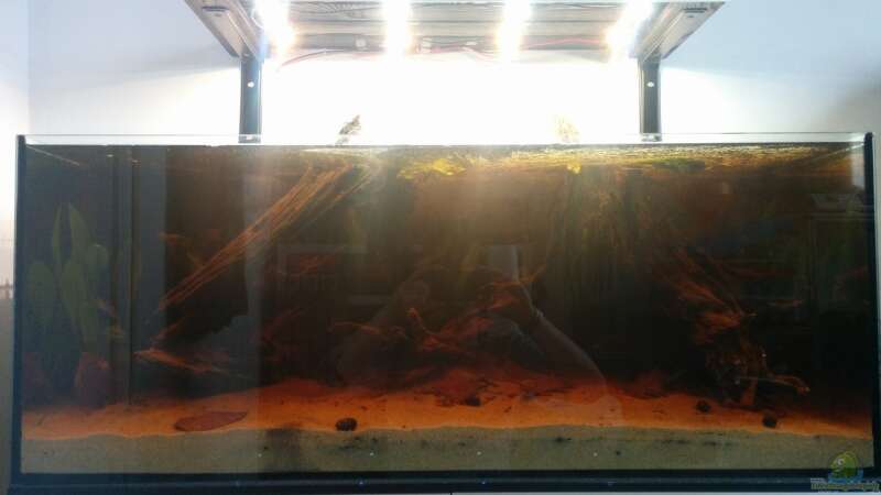 Aquarium Rio Negro Totarm von xpate (5)