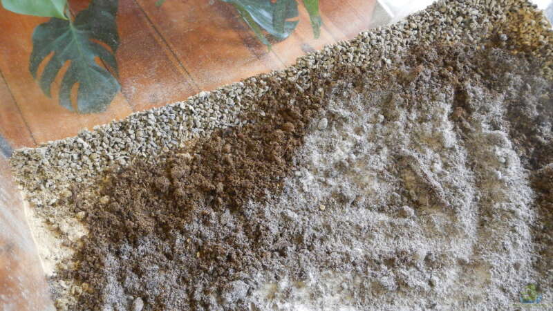 Ich habe den Lavasplit am Rand nicht mit Sand bedeckt.  von miv (4)