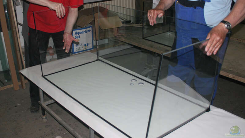 Montage des Glaskörpers im Aquarienkontor von Tim1979 (8)