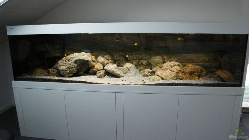Aquarium Kaskazini´s Tank von dagloa (2)