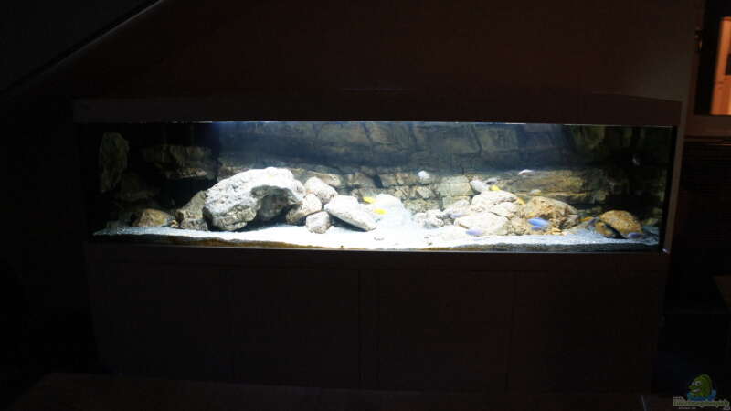 Aquarium Kaskazini´s Tank von dagloa (3)