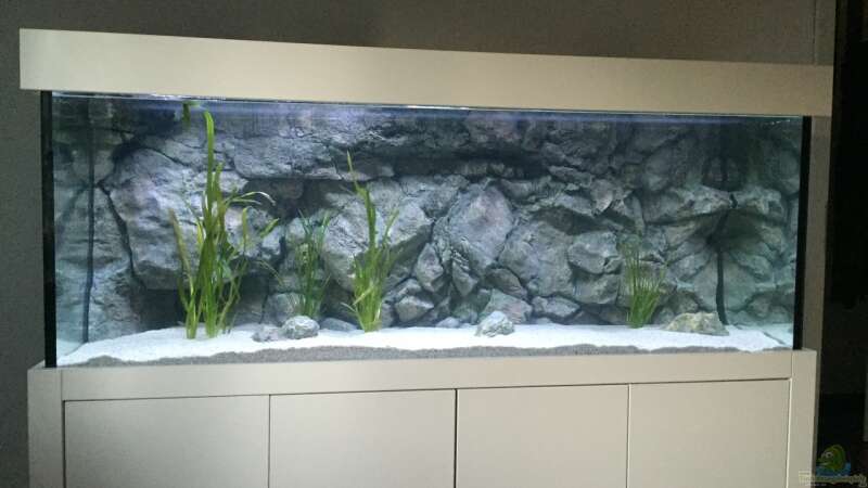 Aquarium Hauptansicht von Wohnzimmer Becken von senker (1)