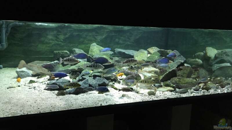 Aquarium Hauptansicht von Rift Valley von Monaco (1)