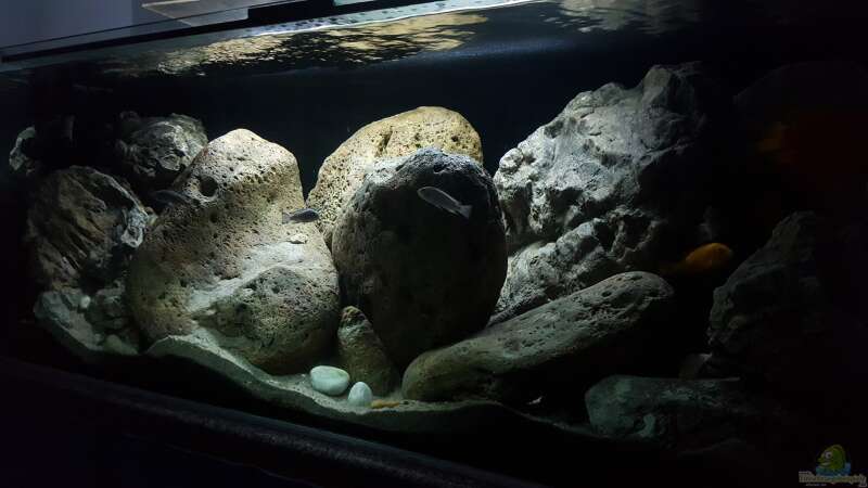Dekoration im Aquarium 540 l Malawi Rock von Mel (26)