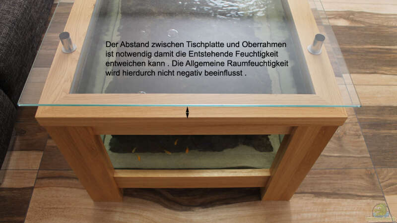 Aquarium Couchtisch Aquarium von Florian Böhling (3)