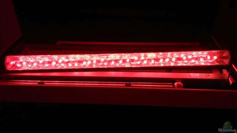 Der fertige RGB LED Balken von Jonas (Trancemania) (12)