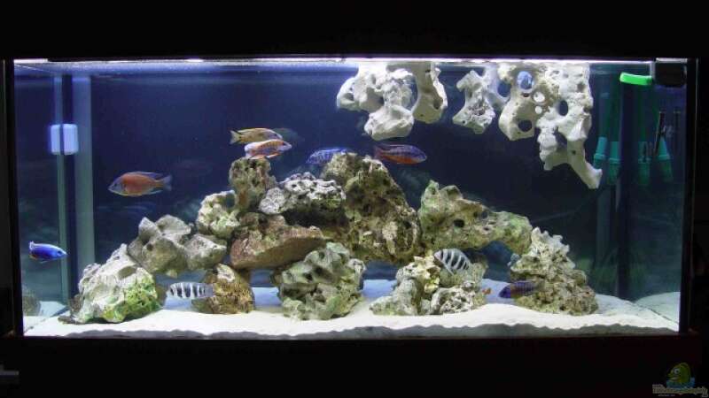 Aquarium Becken 333 von Hans-Michael Deetz (2)