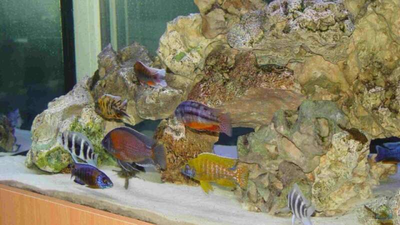 Aquarium Becken 333 von Hans-Michael Deetz (5)