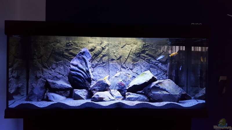 Aquarium Black Stone Tank von S.G (2)
