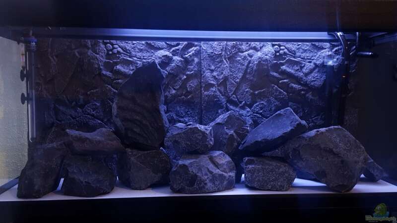 Aquarium Black Stone Tank von S.G (4)