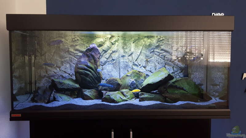 Aquarium Hauptansicht von Black Stone Tank von S.G (1)