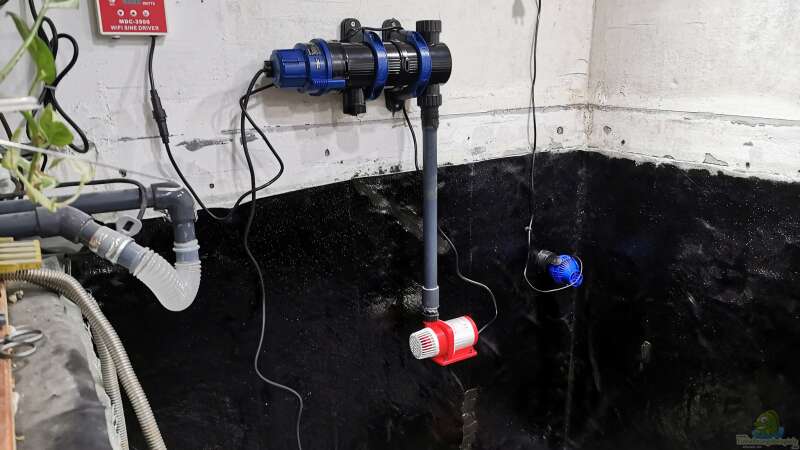 4000 L Pumpe mit Uv Anlage . Pumpt das Wasser zum Filter von Thomas Michel (56)