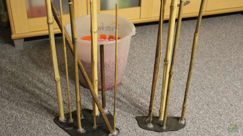 Bambusrohre auf Schieferplatte von Wabi (9)