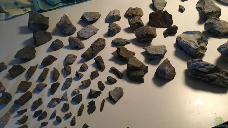 Steine klein gehämmert von Ayahuasca (11)