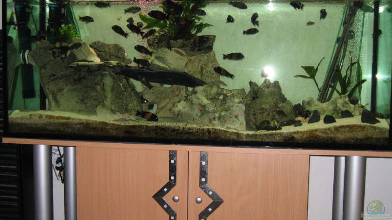 Aquarium Becken 335 von Dirk Bommes (2)
