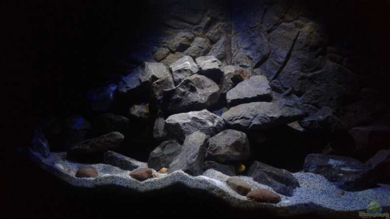 Dekoration im Aquarium Mbuna Tempel von Rinsu (11)