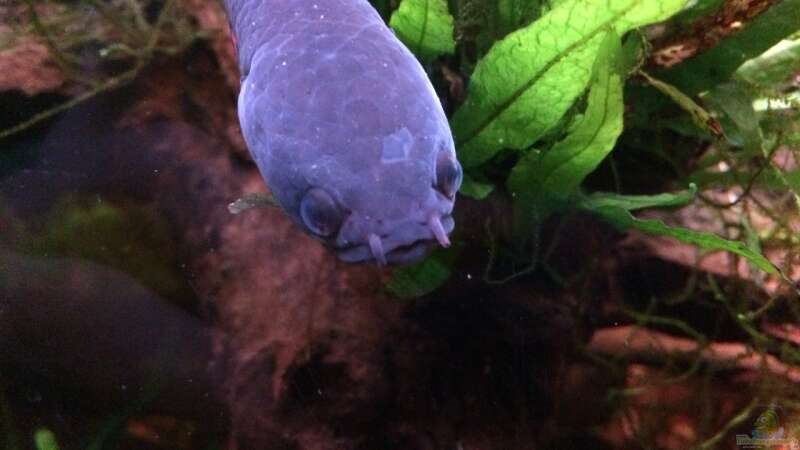 Userbild von Harald Kästner von Harald Kästner