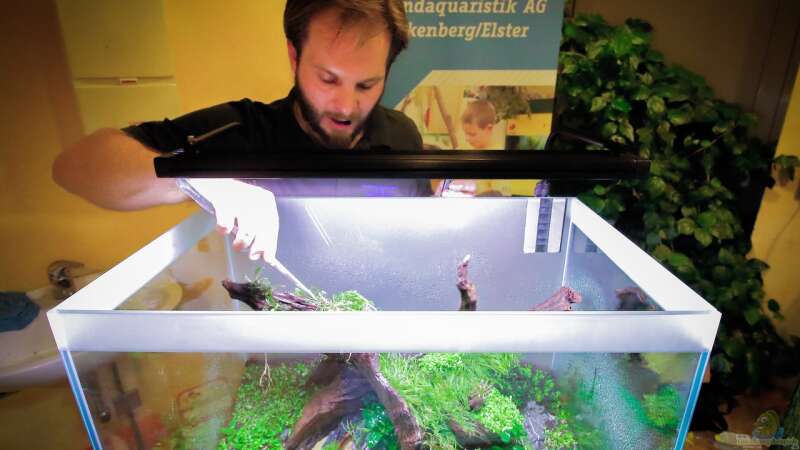 Aquarium Falke von Fredo Fuss (4)