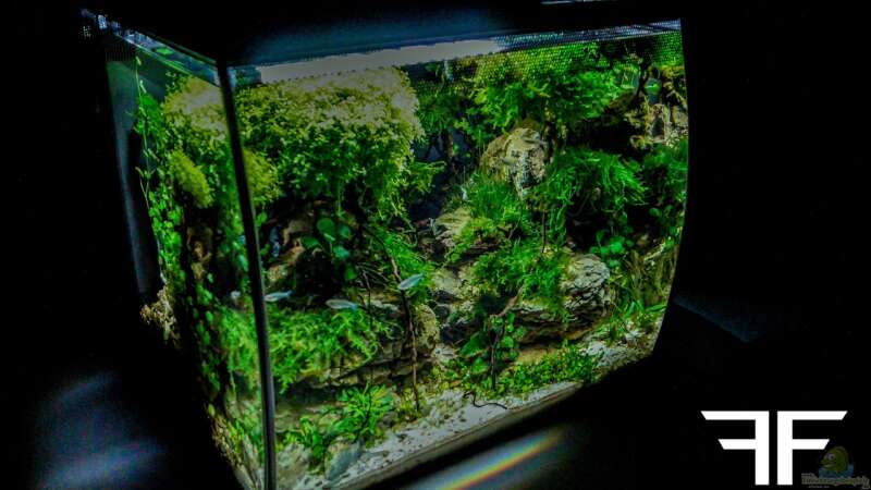 Aquarium Hauptansicht von Fangorn von Fredo Fuss (1)