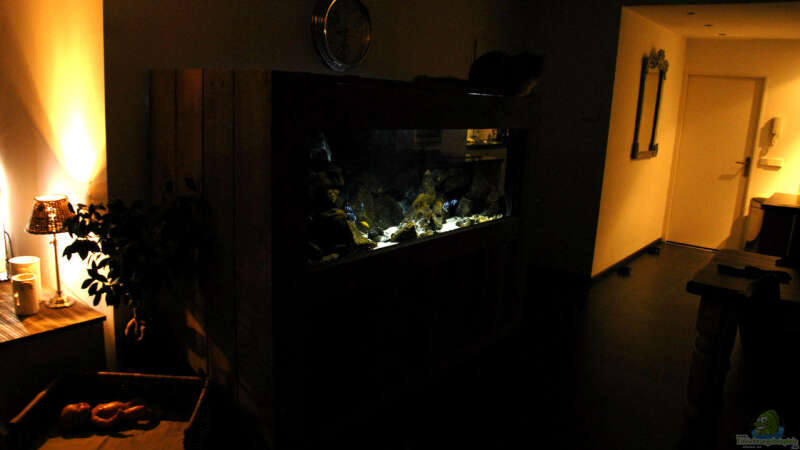 Aquarium in livingroom  von Björn (Slavi) (2)