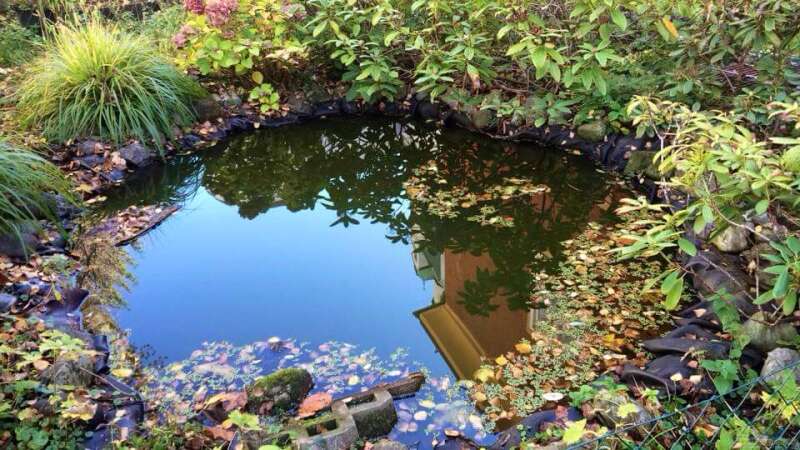 Der Teich im Herbst von Helga Kury (1)