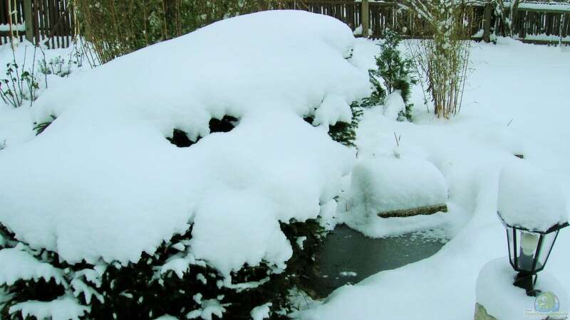 Gartenteich im Winter mit Eisfrosthalter  von odin 68 (7)
