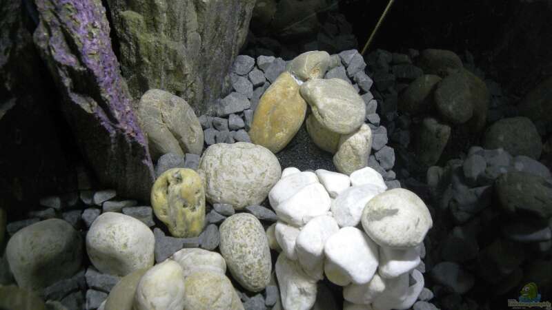 Die Steine sind verteilt von did244 (16)