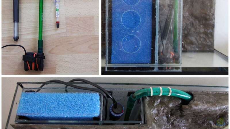 Filtergehäuse mit Filtermatte, Heizstab und Pumpe werden hinter der Rückwand eingesetzt. von Tilo Schmiedl (18)