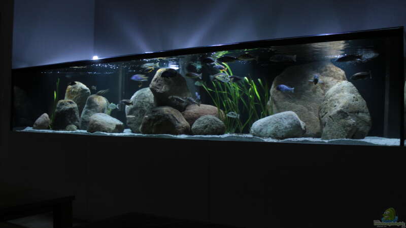 Aquarium Hauptansicht von Becken 34304 von Lukas Meierjohann (1)