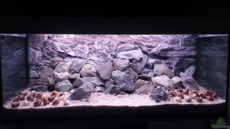 Userbild von SheKa von SheKa