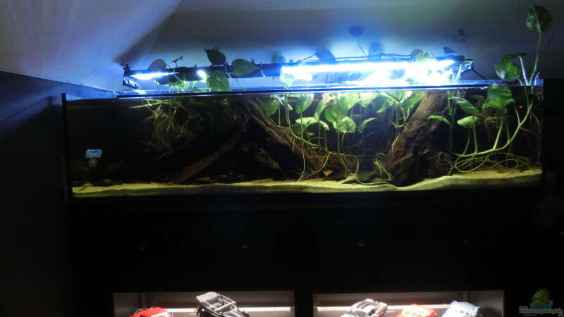 Userbild von Clemens R von Clemens R