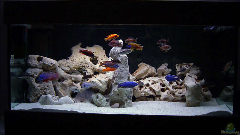 Aquarium Hauptansicht von Becken 346 von Stephan Dahlmanns (1)