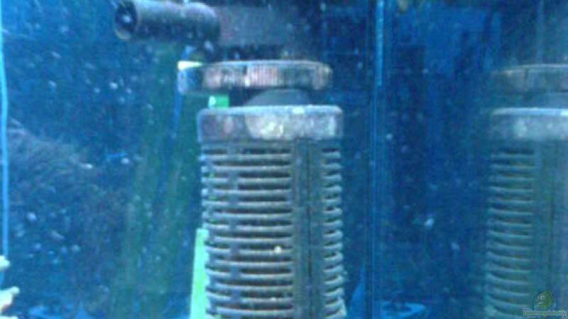 Technik im Aquarium Becken 3532 von Heiko Kunzweiler (12)