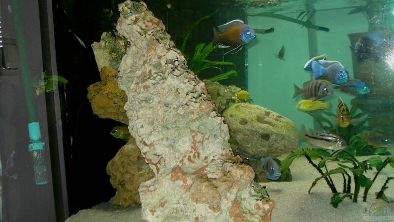 22 kg Stein von der Seite von ehemaliger User (14)