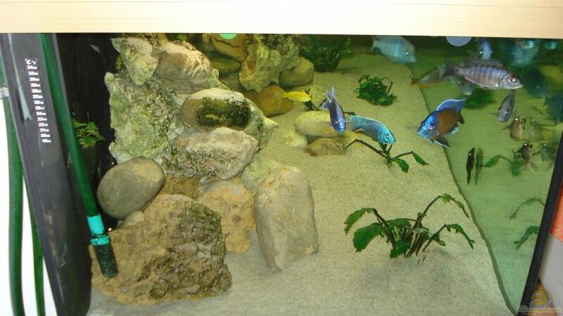 Einblick links von ehemaliger User (7)