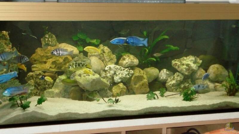 Front von ehemaliger User (3)