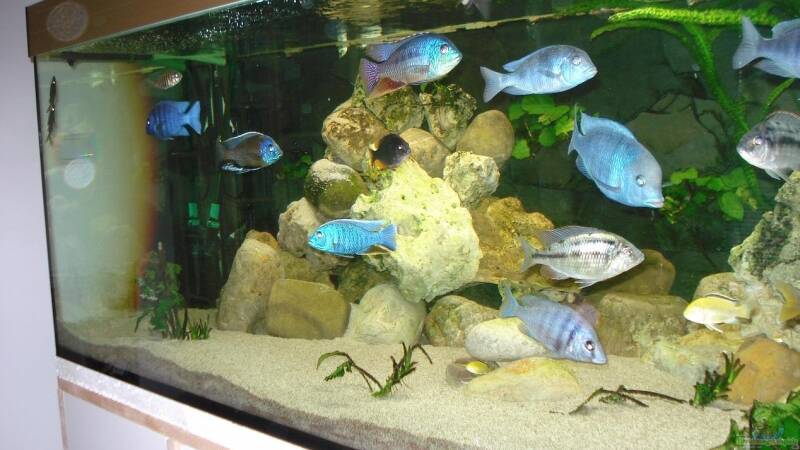 linke Seite umgestaltet von ehemaliger User (6)