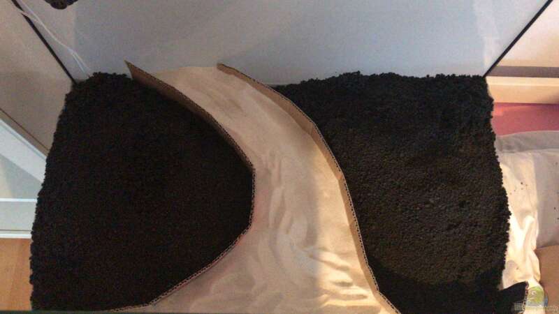 Soil und Sansibarsand wurden eingebracht, die Pappe dient zur sauberen Trennung von Maguma (4)