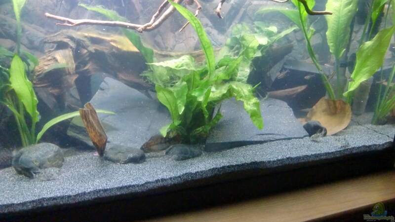 Besatz von ehemaliger User (14)