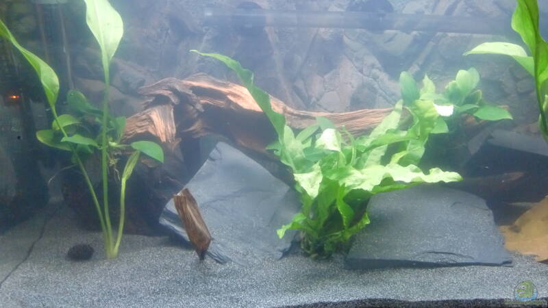 Deko1 von ehemaliger User (3)