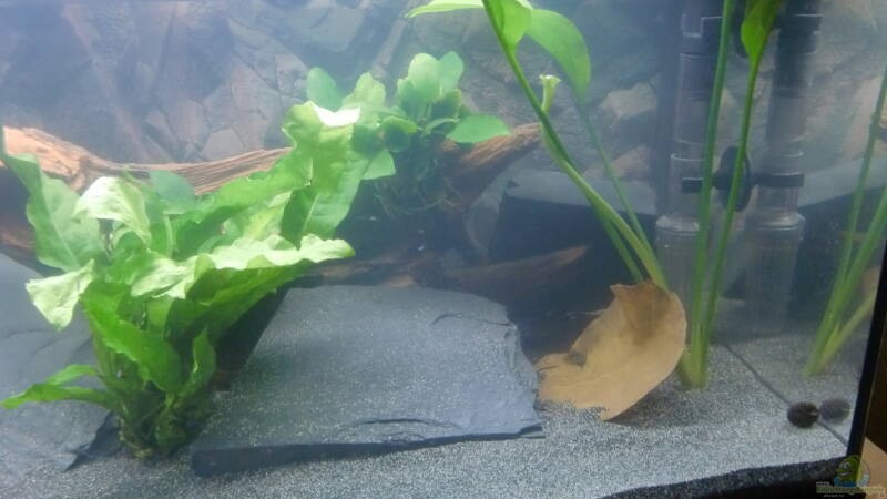 Deko2 von ehemaliger User (4)