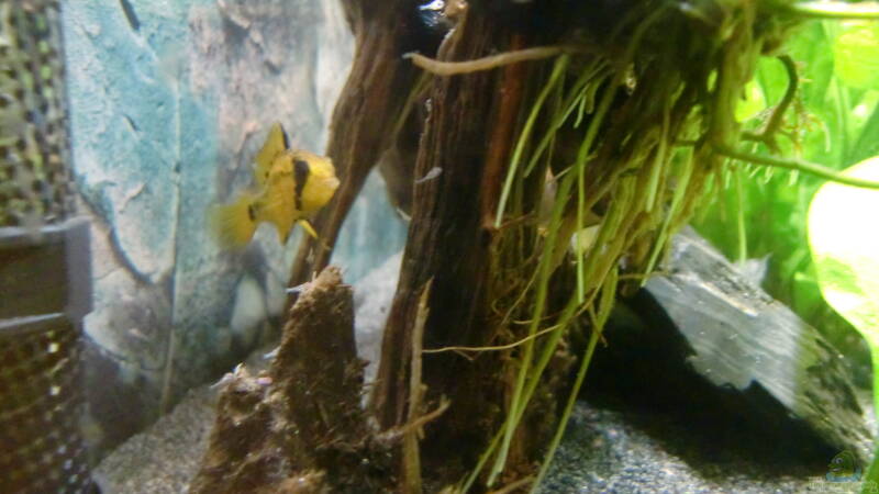 Nachwuchs von ehemaliger User (20)