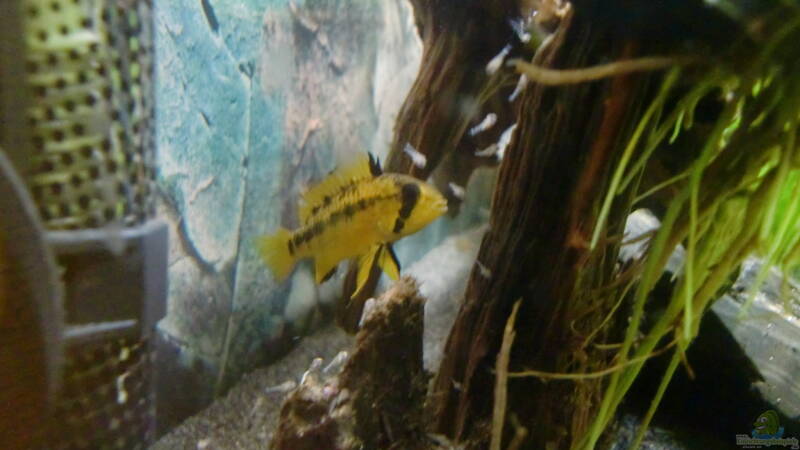 Nachwuchs von ehemaliger User (21)