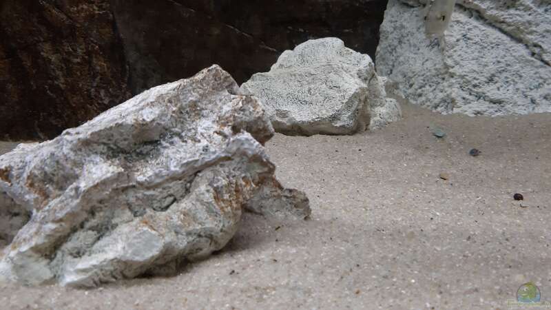 die Juwel Deco Steine sind bearbeitet  von A. Schmidt (10)