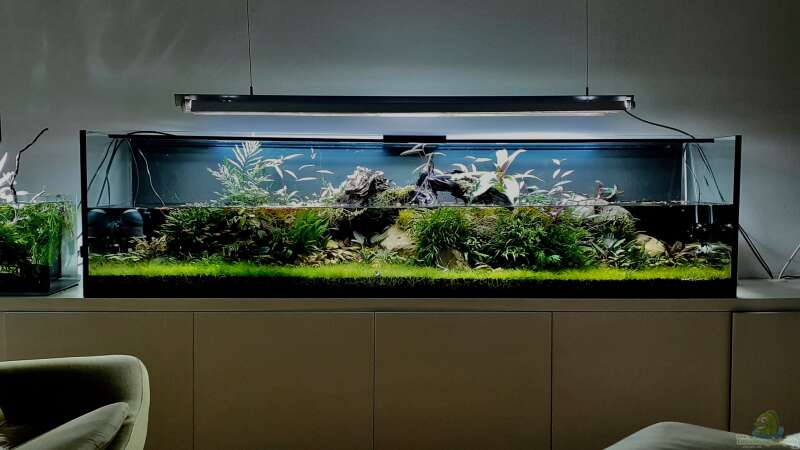 Aquarium Becken 38582 von wsc (2)