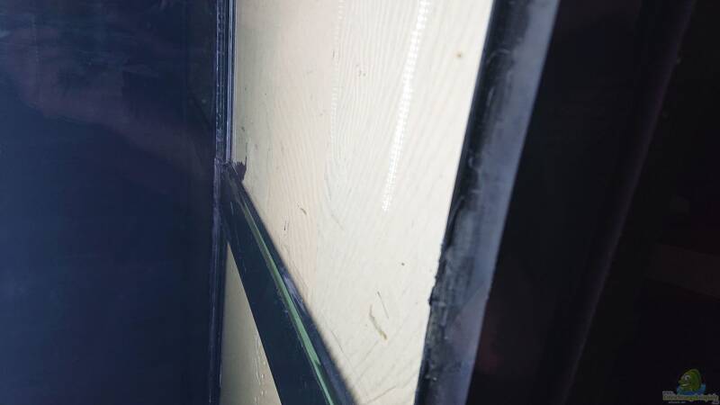 Wer hat alles ein Vorort verklebtes Becken??