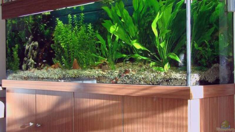 Aquarium Becken 4018 von jeaw70 (9)