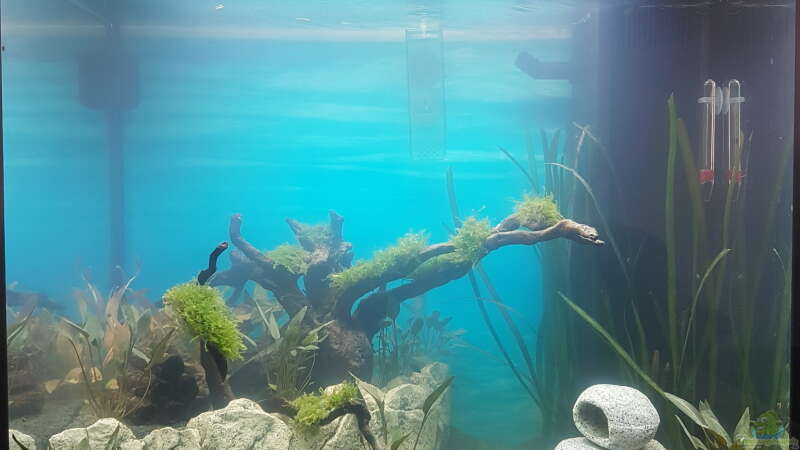 Aquarium Hauptansicht von Paradies Juwel Lido 120