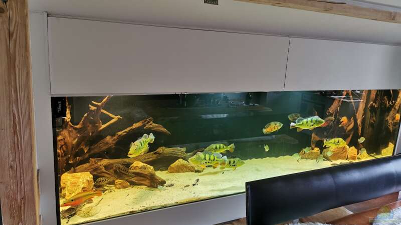 Aquarium Amazonas 4500l von Fritz Gartner (3)