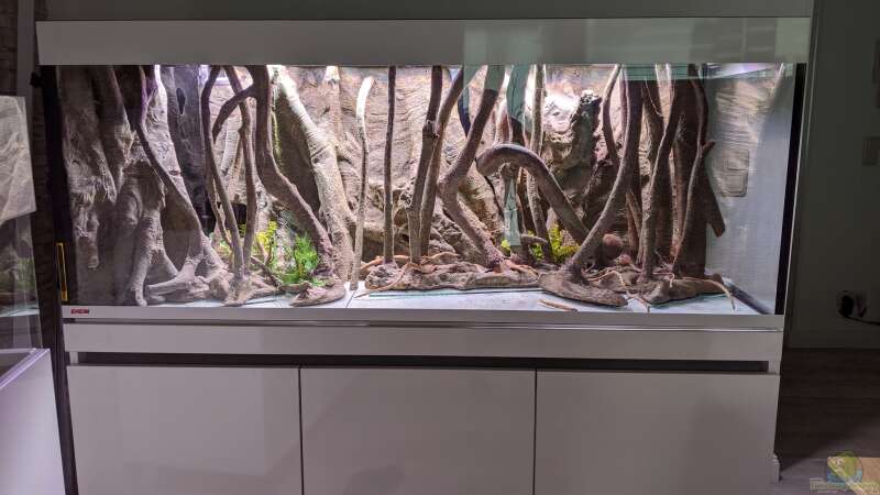 Dekoration im Aquarium Salmerbecken von Hedylein (6)